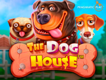 Jogar The Dog House no Cassino Vavada